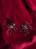 Spider hearing
