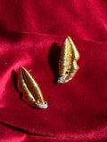 Golden lip