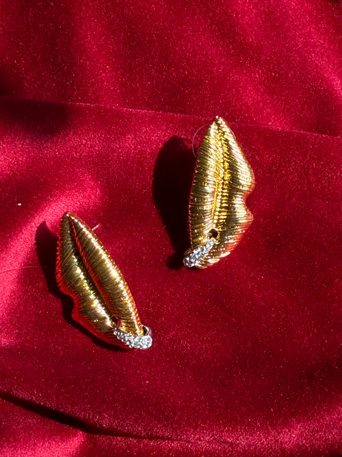 Golden lip