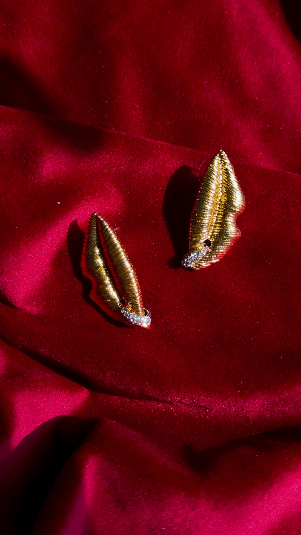Golden lip