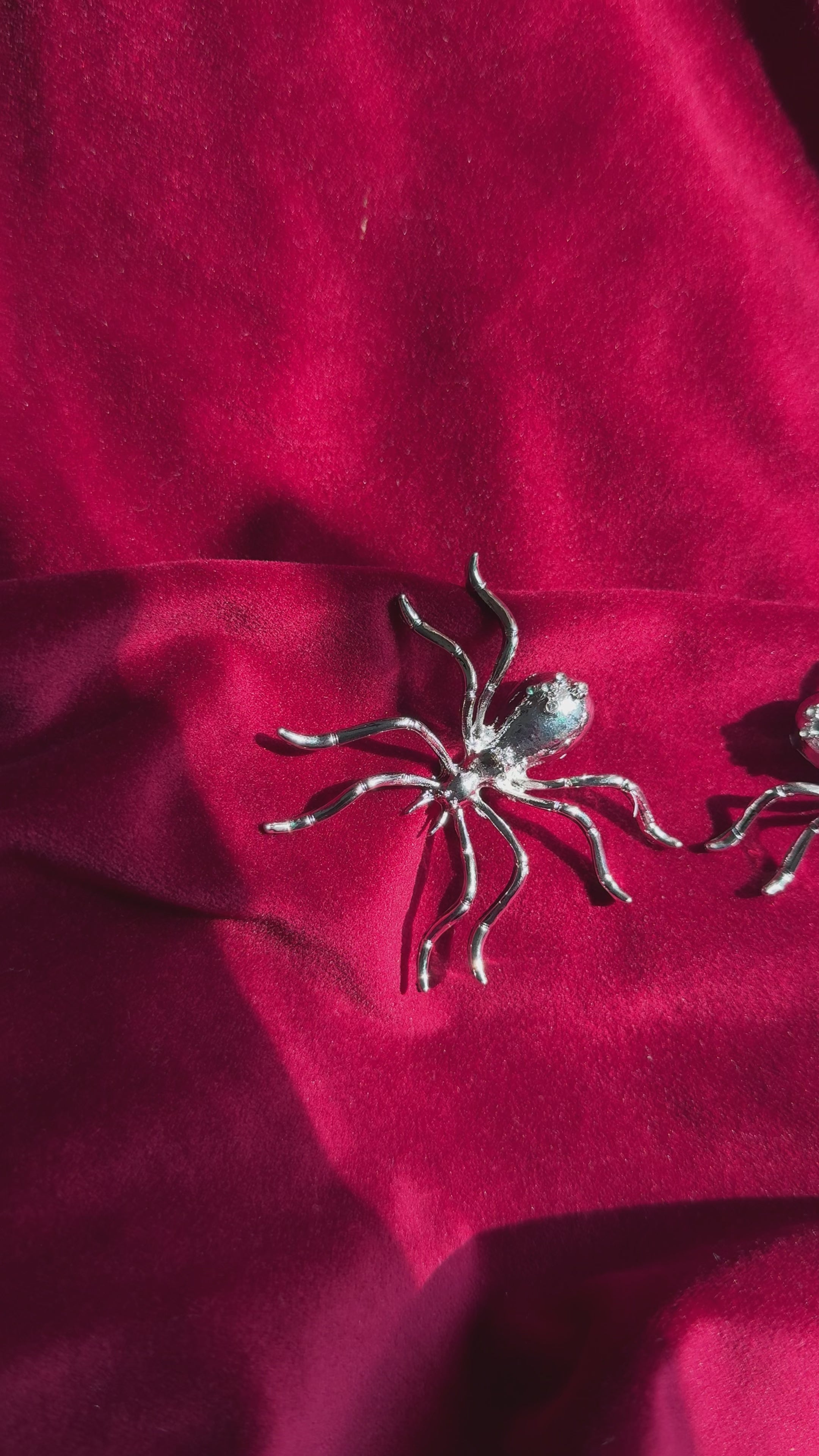 Spider hearing
